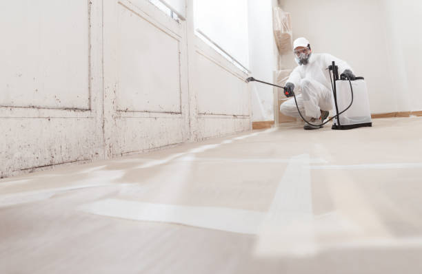 Black mold remediation team in Conestoga